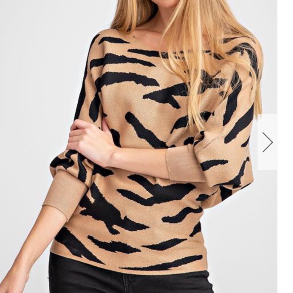 *NEW* TAUPE BOAT NECK ZEBRA SWEATER